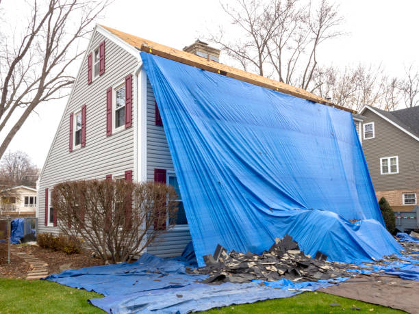 Best Stucco Siding  in Shadow Lake, WA